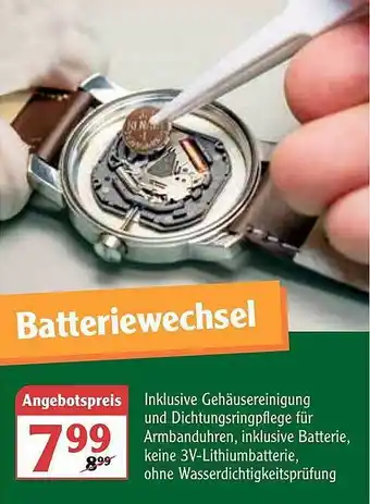 Globus Batteriewechsel Angebot