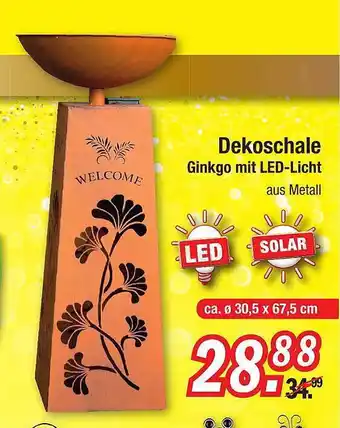 Zimmermann Dekoschale Angebot