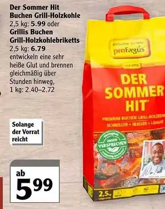 Globus Der Sommer Hit Buchen Grill-holzkohle Oder Grillis Buchen Grill-holzkohlebriketts Angebot