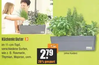 V Baumarkt Küchenkräuter Angebot