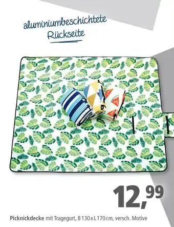 Pfennigpfeiffer Picknickdecke Angebot