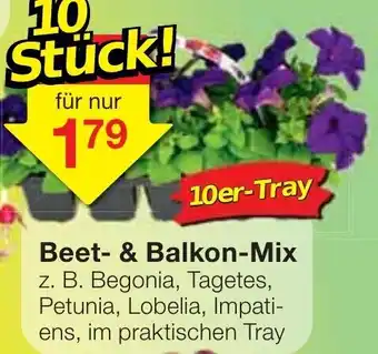 Jawoll Beet & Balkon Mix 10er Tray Angebot