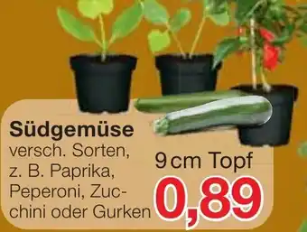 Jawoll Südgemüse 9 cm Topf Angebot