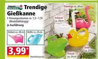 Norma Powertec Garden Trendige Gießkanne Angebot