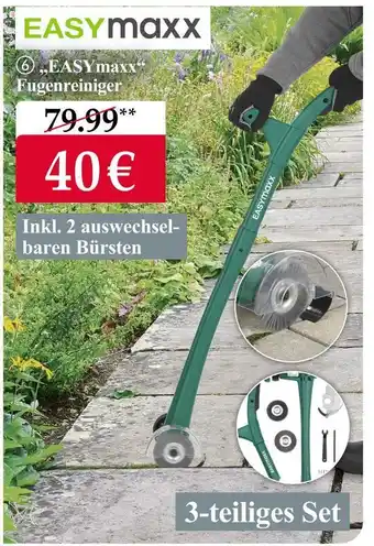 Woolworth Easymaxx fugenreiniger Angebot
