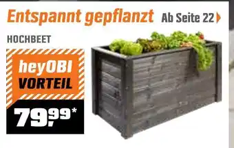 OBI Hochbeet Angebot