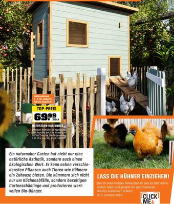 OBI Naturzaun haselnuss Angebot
