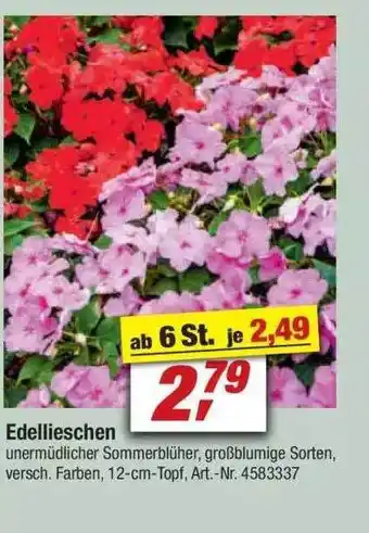 toom Baumarkt Edellieschen Angebot