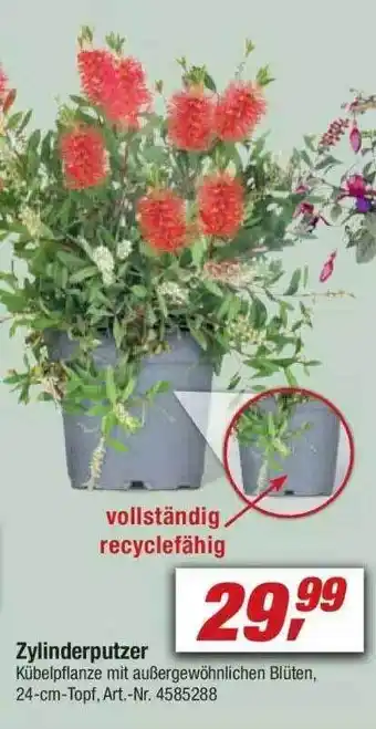 toom Baumarkt Zylinderputzer Angebot