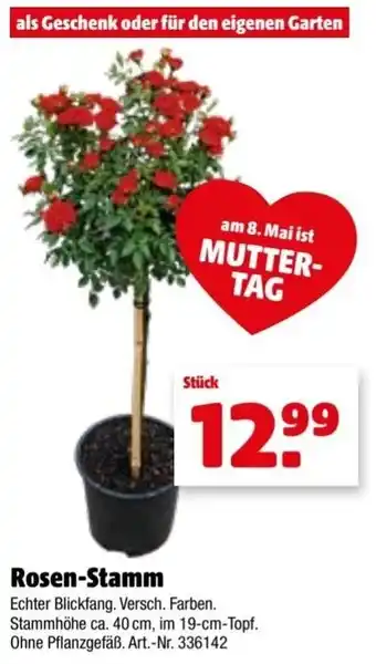 Hagebau Rosen Stamm Angebot