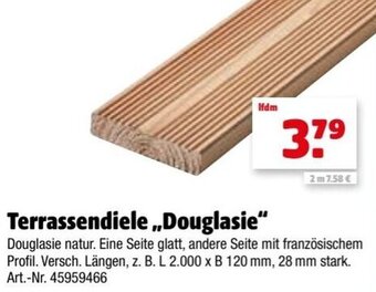 Hagebau Terrassendiele Douglasie Angebot
