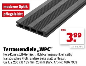 Hagebau Terrassendiele WPC Angebot