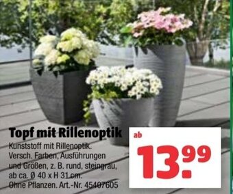 Hagebau Topf mit Rillenoptik Angebot