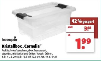 Hagebau Keeeper Kristallbox ,,Cornelia" Angebot