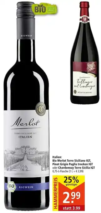 Marktkauf Bio Merlot Terre Siciliane IGT, Pinot Grigio Puglia trocken IGT oder Chardonnay Terre Sicilia IGT 0,75 l Angebot