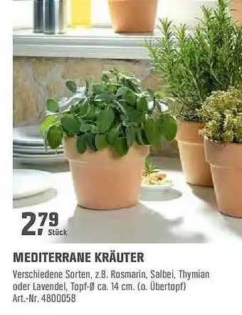 OBI Mediterrane Kräuter Angebot