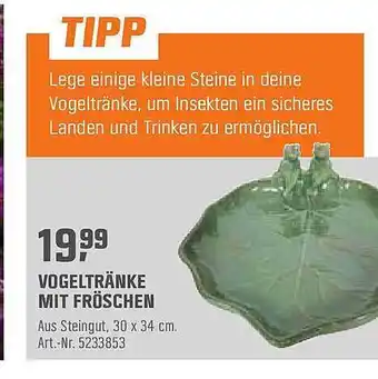 OBI Vogeltränke Mit Fröschen Angebot