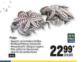 METRO Pulpo Pro Trace Angebot