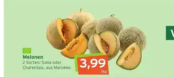 Naturgut Melonen Angebot