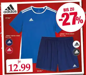 Woolworth Adidas Herren T-shirt Oder Shorts Angebot