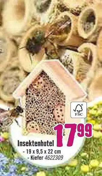 Hornbach Insektenhotel 19 X 9.5 X 22 Cm Angebot