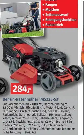 Bauhaus Scheppach benzin-rasenmäher 'ms225-53' Angebot