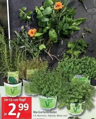 Bauhaus Bio-gartenkräuter Angebot