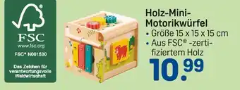 Rossmann Holz-mini-motorikwürfel Angebot