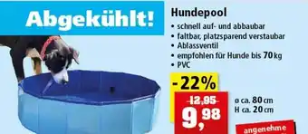 Thomas Philipps Hundepool Angebot