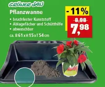 Thomas Philipps Grüner Jan Pflanzwanne Angebot