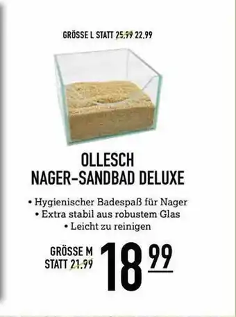 Kölle Zoo Ollesch Nager-sandbad Deluxe Angebot