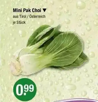 V Markt Mini Pak Choi Angebot