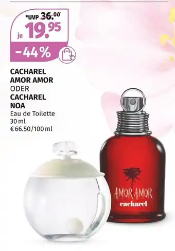 Müller Cacharel amor amor oder cacharel noa eau de toilette Angebot