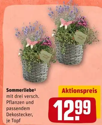 REWE Sommerliebe Angebot