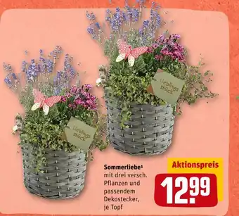 REWE Sommerliebe Angebot