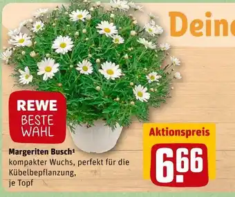 REWE Rewe beste wahl margeriten busch Angebot