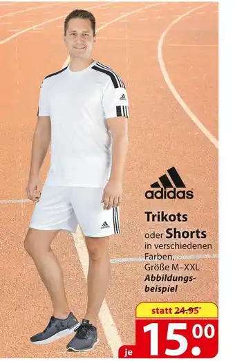 Famila Nord Ost Adidas trikots oder shorts Angebot