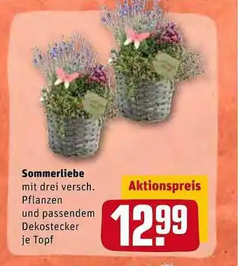 REWE Kaufpark Sommerliebe Angebot