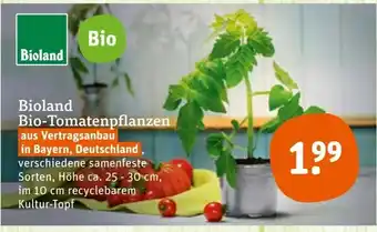 tegut Bioland Bio Tomatenpflanzen Angebot