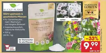 Netto Marken-Discount Lucky Plant Stärkt Gestresste & Geschwächte Pflanzen Angebot