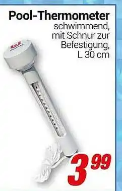 CENTERSHOP Pool-thermometer Angebot