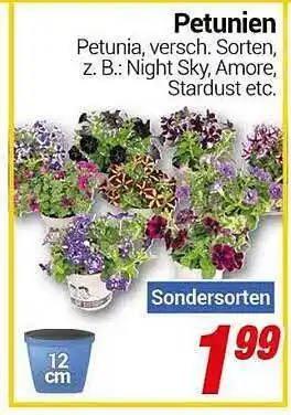 CENTERSHOP Petunien Angebot