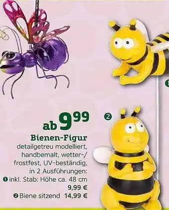 Pflanzen Kölle Bienen-figur Angebot