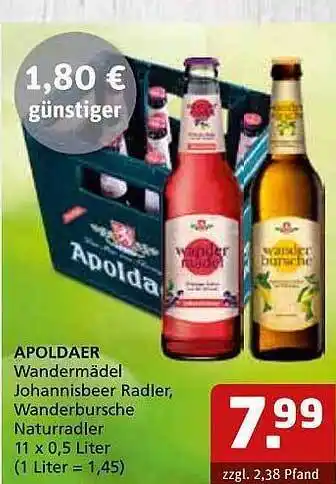 Sagasser Apoldaer Wandermädel Johannisbeer Radler, Wanderbursche Naturradler Angebot