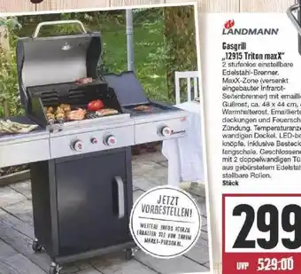 Edeka Landmann Gasgrill „12915 Triton Max X“ Angebot