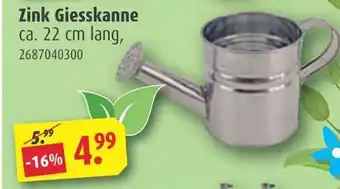 ROLLER Zink giesskanne Angebot