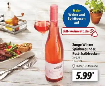 Lidl Junge winzer spätburgunder Angebot