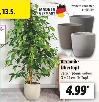 Lidl Keramik-übertopf Angebot