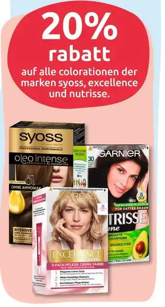 Budni Syoss, excellence und nutrisse 20% rabatt Angebot