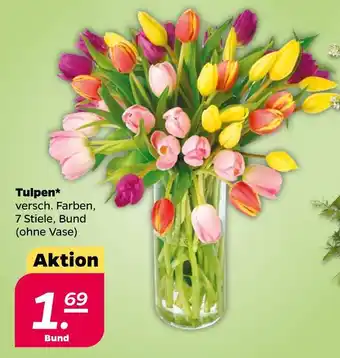 NETTO Tulpen Angebot